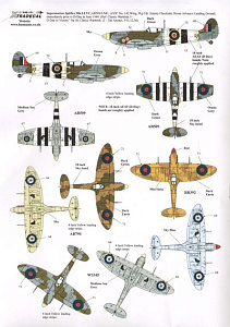 Decal 1/48 Supermarine Spitfire Mk.Vb /Mk.Vc (9) (Xtradecal)