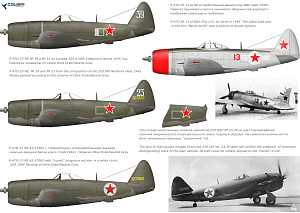 Decal 1/48 P-47 Red Stars (Colibri Decals)