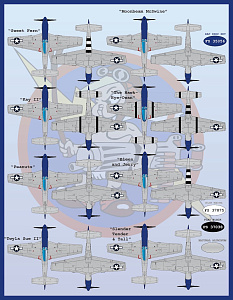 Decal 1/48 "Meyers Maulers Part1" (Furball Aero-Design)
