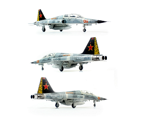 Model kit 1/72 F-5F'Tiger II' (Dream Model) 