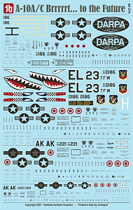 Decal 1/48 Fairchild A-10A/A-10C Thunderbolt II (Two Bobs)