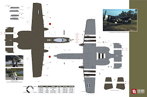 Decal 1/32 1/72 Fairchild A-10C Heritage Hawgs TB72110 combined with TB32071 (Two Bobs)