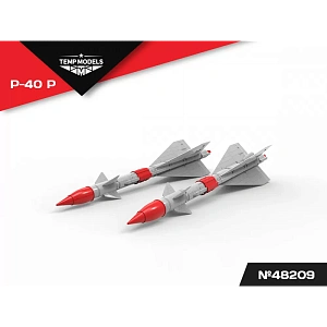 Additions (3D resin printing) 1/48 HIGHLY DETAILED MISSILE R-40 R (Temp Models)
