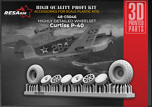 Additions (3D resin printing) 1/48 Curtiss P-40 Wheels under load (RESArm)