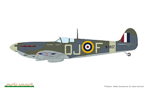 Model kit 1/72 Supermarine Spitfire STORY: The Sweeps DUAL COMBO (Eduard kits)