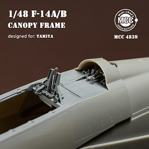 Additions (3D resin printing) 1/48 Grumman F-14A/F-14B Tomcat canopy frame (designed to be used with Tamiya kits) (MCC)