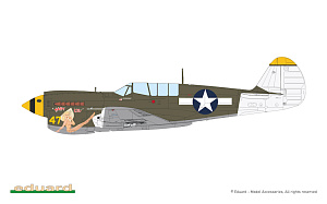 Model kit 1/48 Curtiss P-40N Warhawk Weekend edition (Eduard kits)