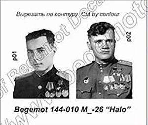 Decal 1/144 Mi-26 (Begemot)