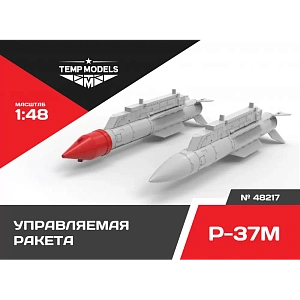 Additions (3D resin printing) 1/48 HIGHLY DETAILED MISSILE R-37M (Temp Models)