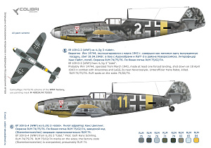 Decal 1/48 BF 109 G-2/G-4 Battles over Kuban (Colibri Decals)