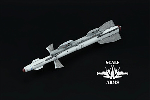 Additions (3D resin printing) 1/48 R-27EE missile with launcher (Scale Arms)