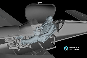 Male pilot sitting in SU-31 (Quinta Models)