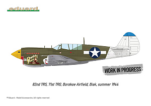 Model kit 1/48 Curtiss P-40N Warhawk (Royal Class, Dual Combo) (Eduard kits)