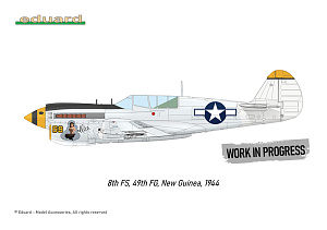 Model kit 1/48 Curtiss P-40N Warhawk (Royal Class, Dual Combo) (Eduard kits)