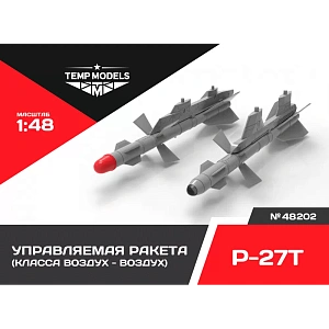 Additions (3D resin printing) 1/48 HIGHLY DETAILED MISSILE R-27 T (Temp Models)