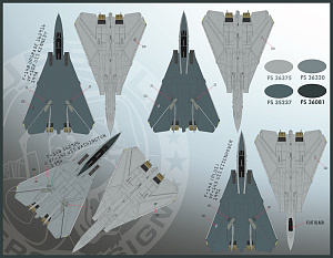 Decal 1/48  'Color & Markings of US Navy Grumman F-14 Tomcats Part IX'  (Furball Aero-Design)