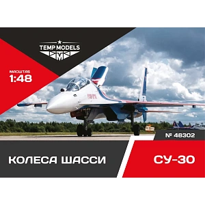 Additions (3D resin printing) 1/48 HIGHLY DETAILED WHEEL SET SU-30 (Temp Models)