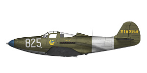 Model kit 1/48 P-39 Airacobra RECON (3x camo) (Arma Hobby)