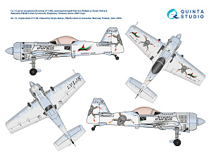 Su-31 Around the World Pt.1 (Quinta Models) (With 3D-Printed and Fiberglass resin parts)
