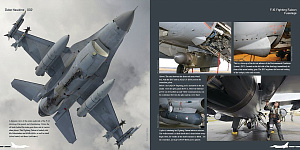Aircraft books Duke Hawkins: Fighting Falcon Lockheed-Martin F-16. (HMH-Publications)