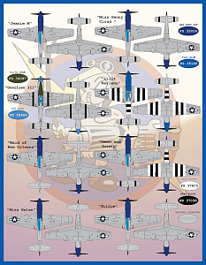 Decal 1/48 "Meyers Maulers Part2" (Furball Aero-Design)