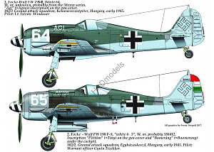 Decal 1/48 Focke Wulf Fw 190 F-8 (2x camo) (HAD)