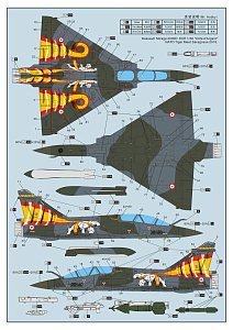 Model kit 1/72 Dassault Mirage-2000D (Dream Model) 