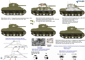 Decal 1/72 M4A2 Sherman in Red Army Part II (Colibri Decals)