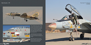 Aircraft books Duke Hawkins: Grumman F-14 Tomcat (HMH-Publications)