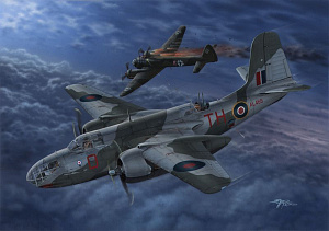 Model kit 1/72 Boston Mk.III 'Intruder' (4x camo) (Special Hobby)
