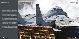 Aircraft books Duke Hawkins: Grumman F-14 Tomcat (HMH-Publications)