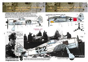 Decal 1/72 Fw-190 F-8 / A-8  (Luftwaffe black 2) (HAD)