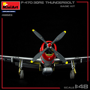 Model kit 1/48 P-47D-30RE Thunderbolt (BASIC KIT) (MiniArt)