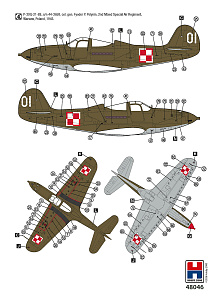 Model kit 1/48 Bell P-39Q/N Airacobra Eastern Front (Hobby 2000)
