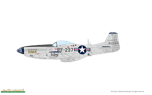 Model kit 1/48 North-American F-51D and RF-51D Mustang KOREA DUAL COMBO (Eduard kits)