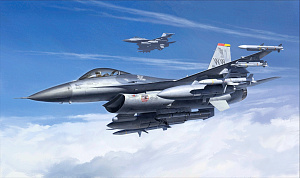 Model kit 1/48 Lockheed Martin F-16CJ [Block 50] Fighting Falcon (Tamiya) 