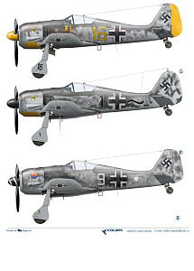 Decal 1/48 Fw-190 A3 JG 5 (Colibri Decals)