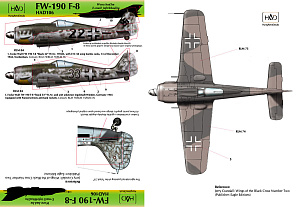 Decal 1/48 Fw 190 F-8 (2x Luftwaffe) (HAD)