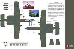 Decal 1/48 Fairchild A-10A/A-10C Thunderbolt II (Two Bobs)
