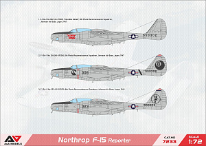 Model kit 1/72 Northrop F-15 Reporter (A & A Models)