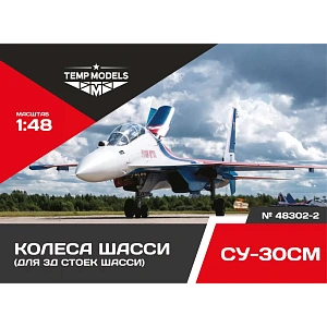Additions (3D resin printing) 1/48 HIGHLY DETAILED WHEEL SET SU-30 3D (Temp Models)