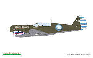 Model kit 1/48 Curtiss P-40N Warhawk (15,000th The Limited edition) (Eduard kits)