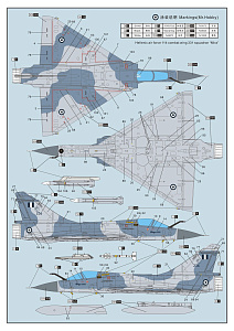 Model kit 1/72 Dassault Mirage 2000C (Dream Model) 