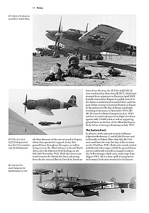 Aircraft books AM-17 The Messerschmitt Bf-110 (Valiant Wings Publishing)