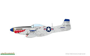 Model kit 1/48 North-American F-51D and RF-51D Mustang KOREA DUAL COMBO (Eduard kits)