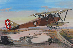 Model kit 1/48 Ansaldo SVA.10 (FLY)