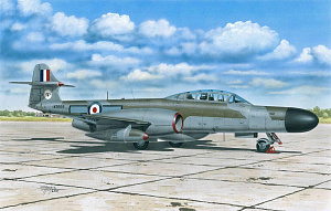 Model kit 1/72 A.W. Meteor NF Mk.12 'Defending the US (Special Hobby)