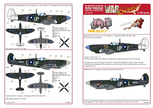 Decal 1/48 Supermarine Spitfire Mk.VIII (Kits-World)