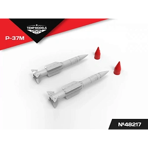 Additions (3D resin printing) 1/48 HIGHLY DETAILED MISSILE R-37M (Temp Models)
