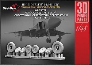 Additions (3D resin printing) 1/48 Su-15TM under load (RESArm)